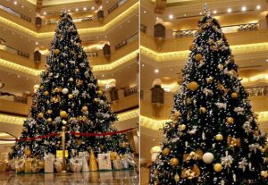 Aluguels de mesas e cadeiras - natal